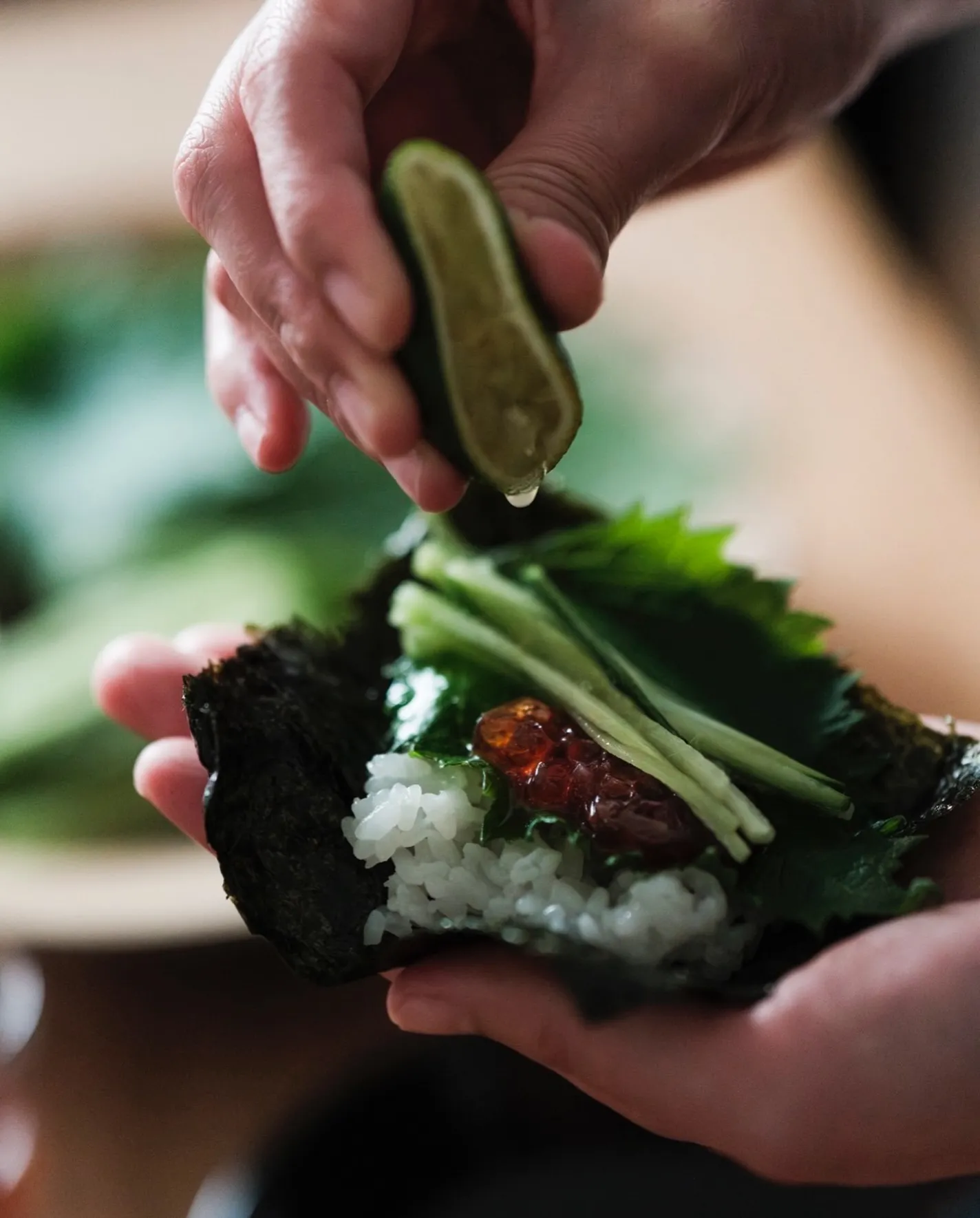 🐢まいど亀屋です🐢