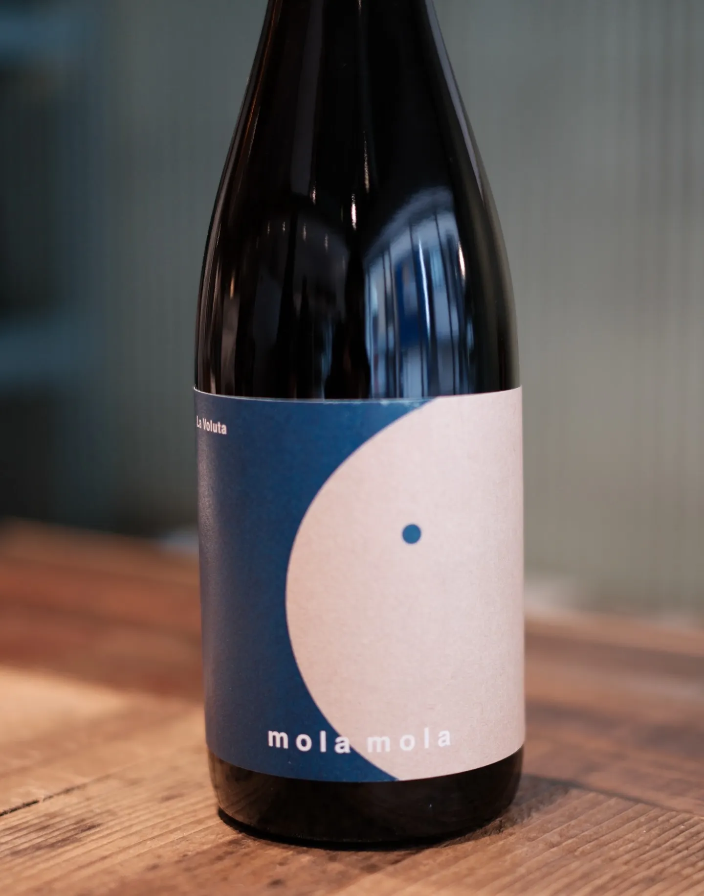 🐢まいど亀屋です🐢