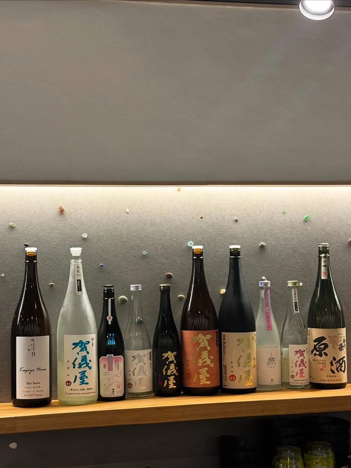 🐢まいど！亀屋です🐢