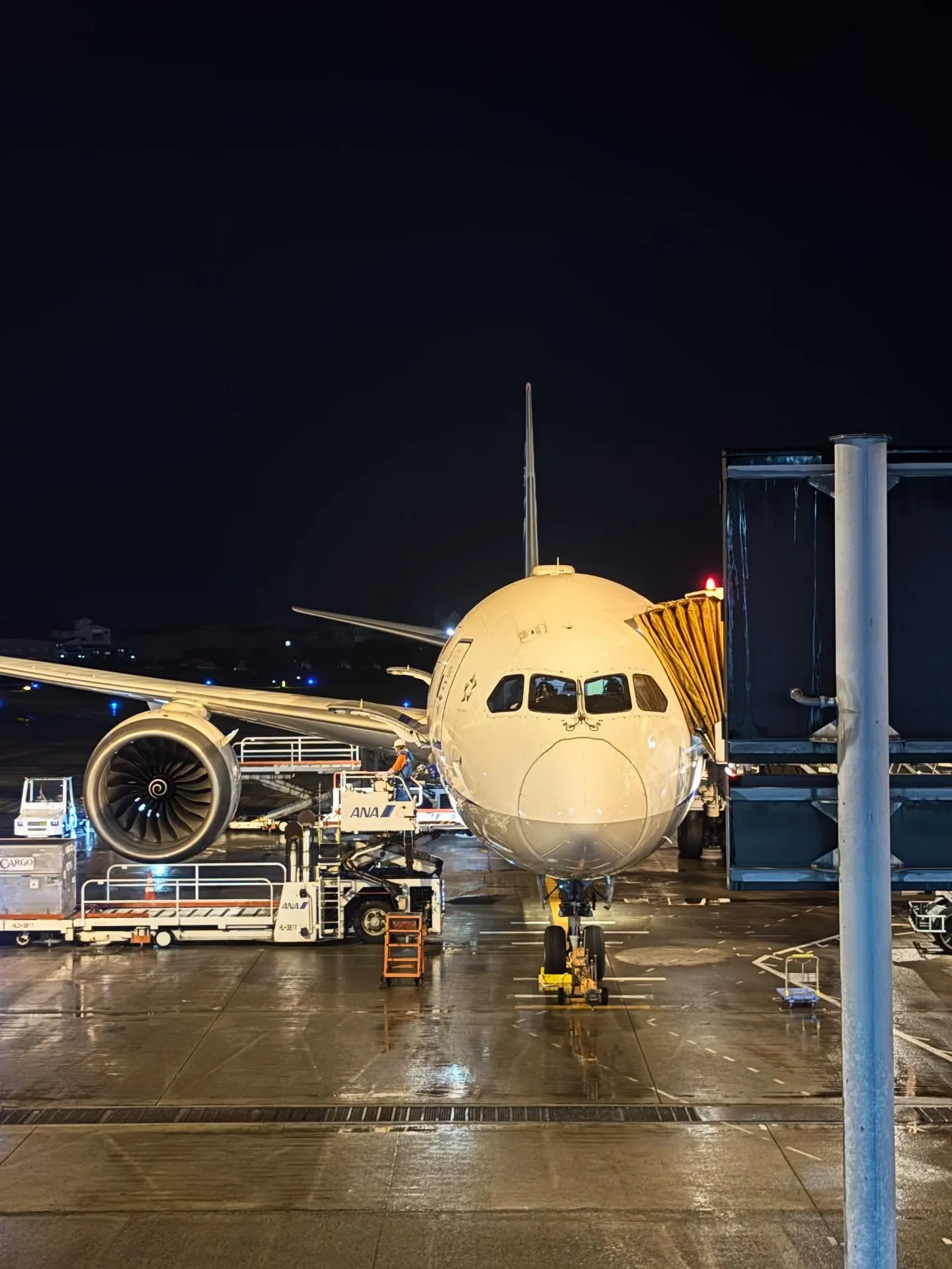 🐢まいど！亀屋です🐢