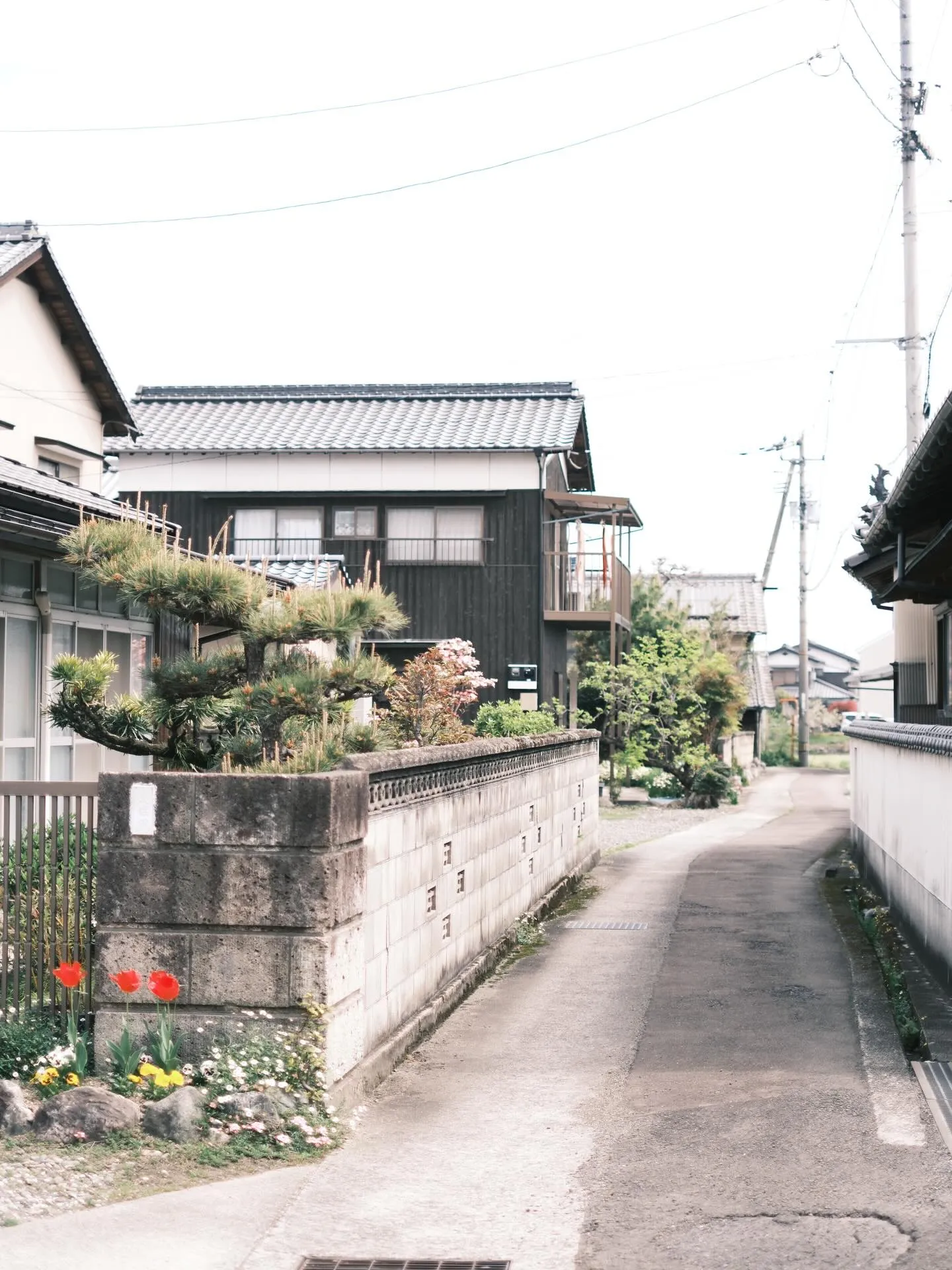 🐢まいど！亀屋です🐢